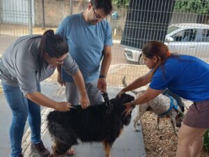 Clipping 25/08/2025: o SUS de Mato Grosso não para – COSEMS MT